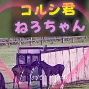 ヒメ日記 2026/03/03 20:45 投稿 本上 松戸おかあさん