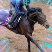 ヒメ日記 2026/03/05 14:45 投稿 本上 松戸おかあさん