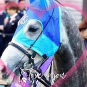 ヒメ日記 2026/03/22 12:15 投稿 本上 松戸おかあさん