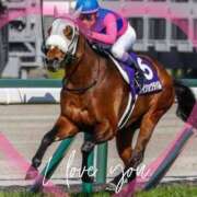 ヒメ日記 2026/04/06 13:05 投稿 本上 松戸おかあさん