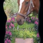 ヒメ日記 2026/04/28 19:19 投稿 本上 松戸おかあさん