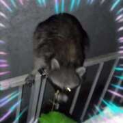 ヒメ日記 2026/04/28 20:15 投稿 本上 松戸おかあさん