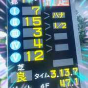 ヒメ日記 2026/05/04 11:01 投稿 本上 松戸おかあさん