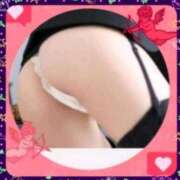 ヒメ日記 2026/06/18 12:25 投稿 本上 松戸おかあさん