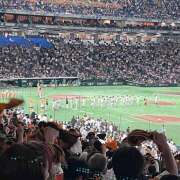 ヒメ日記 2025/05/27 13:05 投稿 しゅり Rutile(ルチル)