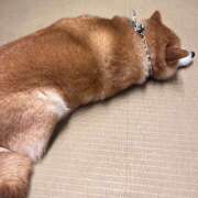 ヒメ日記 2025/06/17 13:13 投稿 しゅり Rutile(ルチル)