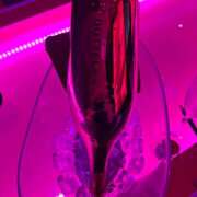 ヒメ日記 2025/07/24 13:04 投稿 しゅり Rutile(ルチル)