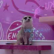 ヒメ日記 2025/09/14 12:57 投稿 しゅり Rutile(ルチル)