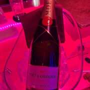 ヒメ日記 2026/02/22 13:03 投稿 しゅり Rutile(ルチル)