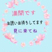 ヒメ日記 2025/04/05 12:05 投稿 まなみ 奥鉄オクテツ奈良