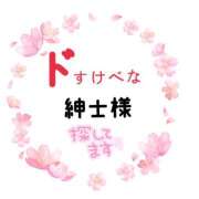 ヒメ日記 2025/04/12 08:40 投稿 まなみ 奥鉄オクテツ奈良