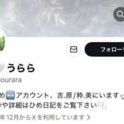 うらら☆ 🧊𝐧𝐞𝐰アカウントෆ‪‪ 粋美　suibi