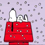 ヒメ日記 2025/01/29 21:44 投稿 環奈(かんな) PLUS難波店