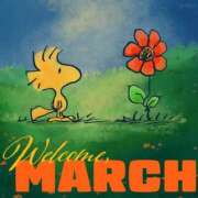 ヒメ日記 2025/03/06 01:14 投稿 環奈(かんな) PLUS難波店