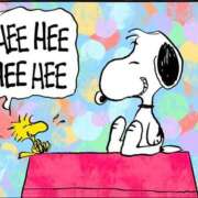 ヒメ日記 2025/04/01 23:24 投稿 環奈(かんな) PLUS難波店