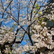 ヒメ日記 2025/04/07 18:14 投稿 環奈(かんな) PLUS難波店