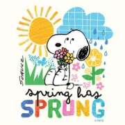 ヒメ日記 2025/04/09 22:44 投稿 環奈(かんな) PLUS難波店