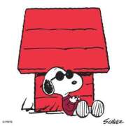 ヒメ日記 2025/05/23 23:24 投稿 環奈(かんな) PLUS難波店