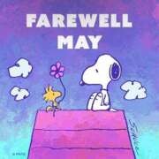 ヒメ日記 2025/06/04 20:54 投稿 環奈(かんな) PLUS難波店