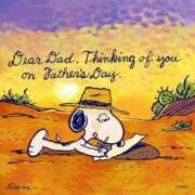 ヒメ日記 2025/06/23 17:24 投稿 環奈(かんな) PLUS難波店