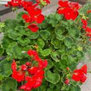 ヒメ日記 2025/06/25 14:24 投稿 環奈(かんな) PLUS難波店