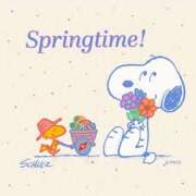 環奈(かんな) こんばんは✨ PLUS難波店