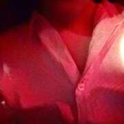 ヒメ日記 2025/06/25 20:25 投稿 やよい 丸の内