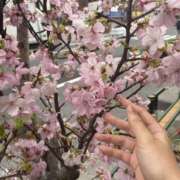 ヒメ日記 2026/03/24 12:16 投稿 伊月 さり 癒しの円環～Art of Massage～五反田