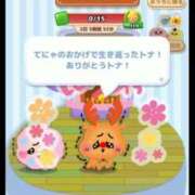 ヒメ日記 2025/03/16 18:26 投稿 かのん お姉さんSelect