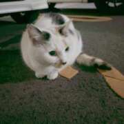 ヒメ日記 2025/04/23 12:06 投稿 片瀬　なな 回春マッサージメンズエステ宇都宮