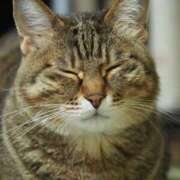 ヒメ日記 2026/01/30 20:51 投稿 のぞみ 淫乱痴女エステ