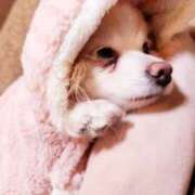 ヒメ日記 2024/12/19 21:45 投稿 菜々子/ななこ 贅沢なひと時