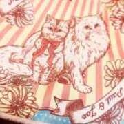 ヒメ日記 2025/02/04 23:25 投稿 菜々子/ななこ 贅沢なひと時