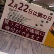 ヒメ日記 2025/02/20 22:28 投稿 菜々子/ななこ 贅沢なひと時