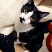 ヒメ日記 2025/02/22 15:40 投稿 菜々子/ななこ 贅沢なひと時