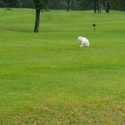 ヒメ日記 2025/02/26 21:26 投稿 菜々子/ななこ 贅沢なひと時