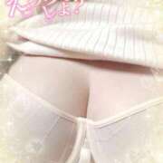 ヒメ日記 2025/03/14 20:54 投稿 ゆみ ギン妻パラダイス 堺東店