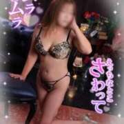 ヒメ日記 2025/03/26 11:47 投稿 ゆみ ギン妻パラダイス 堺東店