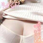 ヒメ日記 2025/03/27 00:17 投稿 ゆみ ギン妻パラダイス 堺東店