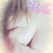 ヒメ日記 2025/04/04 22:17 投稿 ゆみ ギン妻パラダイス 堺東店