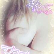 ヒメ日記 2025/11/14 21:02 投稿 ゆみ ギン妻パラダイス 堺東店