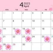 ヒメ日記 2025/04/11 20:02 投稿 りこ ジャパンクラブ富士