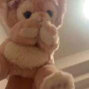 ヒメ日記 2025/11/24 09:02 投稿 りこ ジャパンクラブ富士