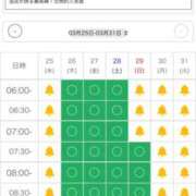 ヒメ日記 2026/03/18 15:40 投稿 りこ ジャパンクラブ富士