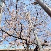 ヒメ日記 2026/03/30 23:56 投稿 あずさ ENTERTAINMENT SOAP LOVE VEGAS(ラブベガス)