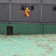 ヒメ日記 2024/12/10 11:34 投稿 あかり 素人妻御奉仕倶楽部Hip's松戸店