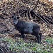 ヒメ日記 2024/12/13 11:54 投稿 あかり 素人妻御奉仕倶楽部Hip's松戸店