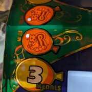 ヒメ日記 2024/12/29 14:55 投稿 あかり 素人妻御奉仕倶楽部Hip's松戸店