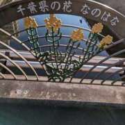 ヒメ日記 2025/01/18 15:57 投稿 あかり 素人妻御奉仕倶楽部Hip's松戸店