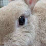 ヒメ日記 2025/02/05 12:04 投稿 あかり 素人妻御奉仕倶楽部Hip's松戸店